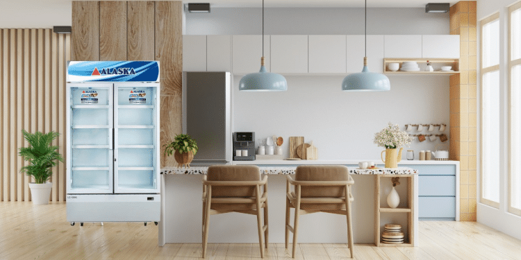 Tủ Mát ALASKA LC-650C 600 Lít 2 Tủ Mát ALASKA LC-650C